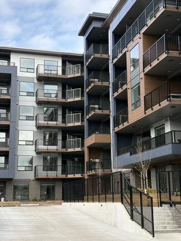 64F8EA18-9BD5-4A7C-B932-88EC8847639D_4_5005_c 64F8EA18-9BD5-4A7C-B932-88EC8847639D_4_5005_c