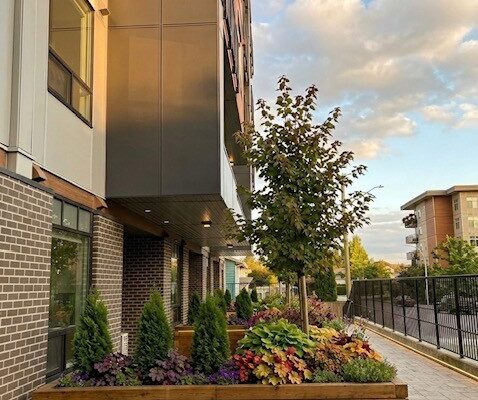 e3fd7c6d-1e77-4753-b9a7-6e11ba6b7eff